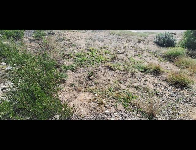 LAND FOR SALE IN BERGSIG